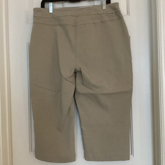 Kim Rogers Tan Capris - Picture 2 of 13